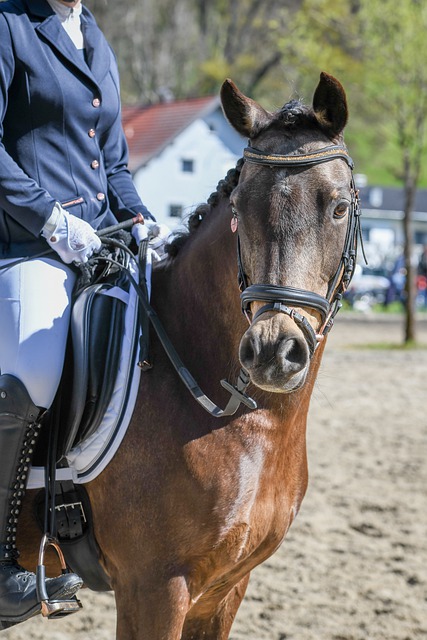 队报及格分评价：奥利塞回到伦敦面对阿森纳的发挥